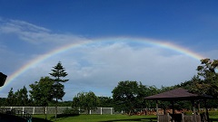 雨あがりの園庭