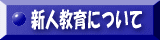 新人教育について